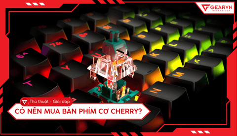 Có nên mua bàn phím cơ Cherry? Đánh giá chi tiết từ A-Z
