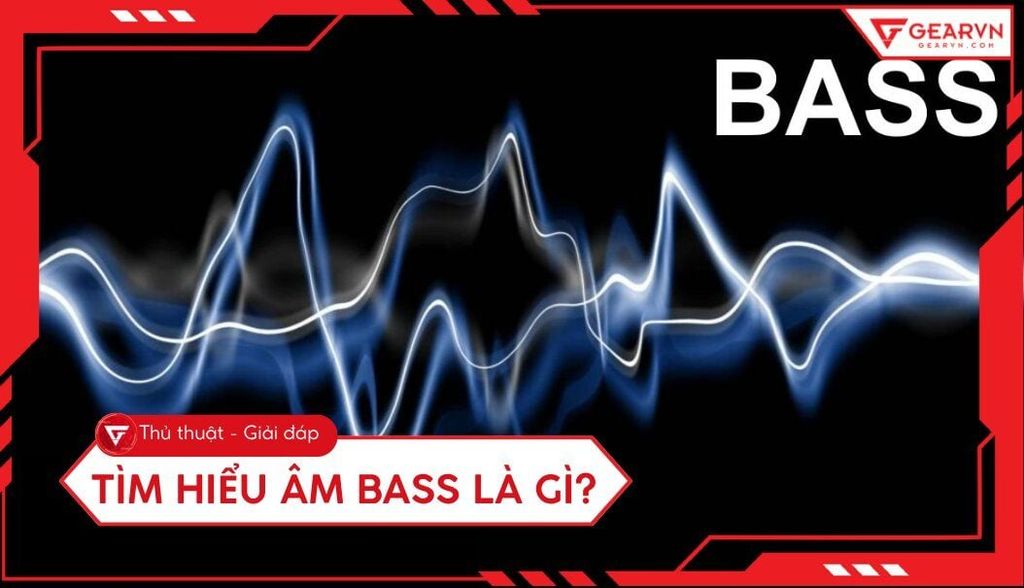 Bass là gì? Phân loại và vai trò của âm bass trong thực tế