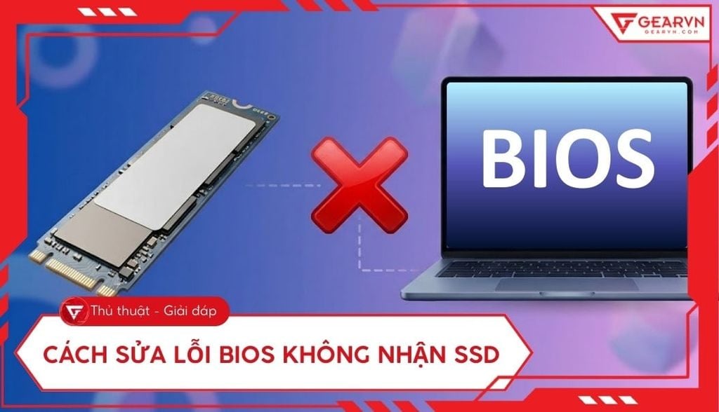 6 cách sửa lỗi BIOS không nhận ổ cứng SSD hiệu quả nhất