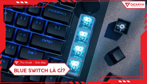 Blue Switch là gì? Đặc điểm và cảm giác gõ bàn phím cơ chi tiết