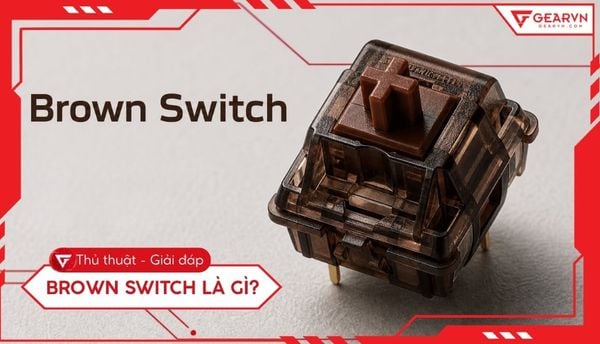 Brown switch là gì? Khám phá cảm giác gõ và cách chọn switch