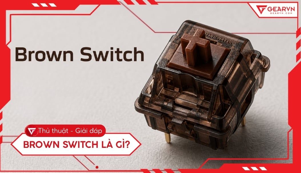 Brown switch là gì? Khám phá cảm giác gõ và cách chọn switch