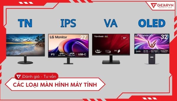 Các loại màn hình máy tính: So sánh tấm nền TN, VA, IPS chi tiết