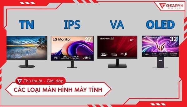 Các loại màn hình máy tính: So sánh tấm nền TN, VA, IPS chi tiết
