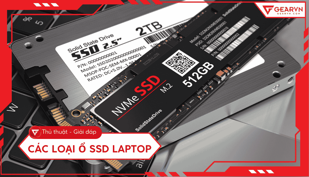 Các loại ổ SSD laptop phổ biến: Cách chọn chuẩn xác nhất