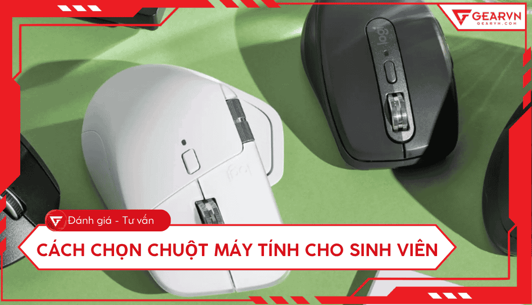 Cách chọn chuột máy tính cho sinh viên: Bền, đẹp, giá rẻ