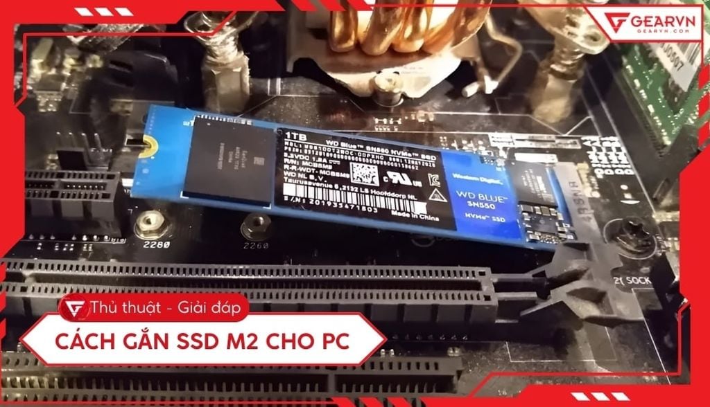 Cách gắn SSD M.2 cho PC chi tiết: Hướng dẫn nhanh tại nhà
