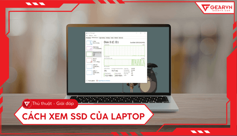 4 Cách xem SSD của laptop Windows, macOS nhanh và chính xác