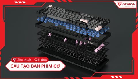 Cấu tạo bàn phím cơ: Tìm hiểu các bộ phận chi tiết, dễ hiểu