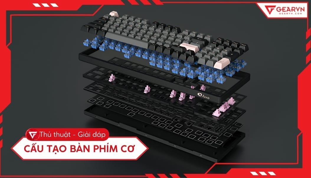 Cấu tạo bàn phím cơ: Tìm hiểu các bộ phận chi tiết, dễ hiểu