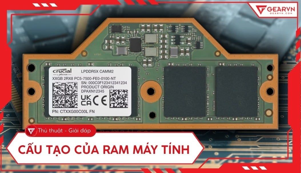Cấu tạo của RAM máy tính: 5 thành phần chính bạn nên biết