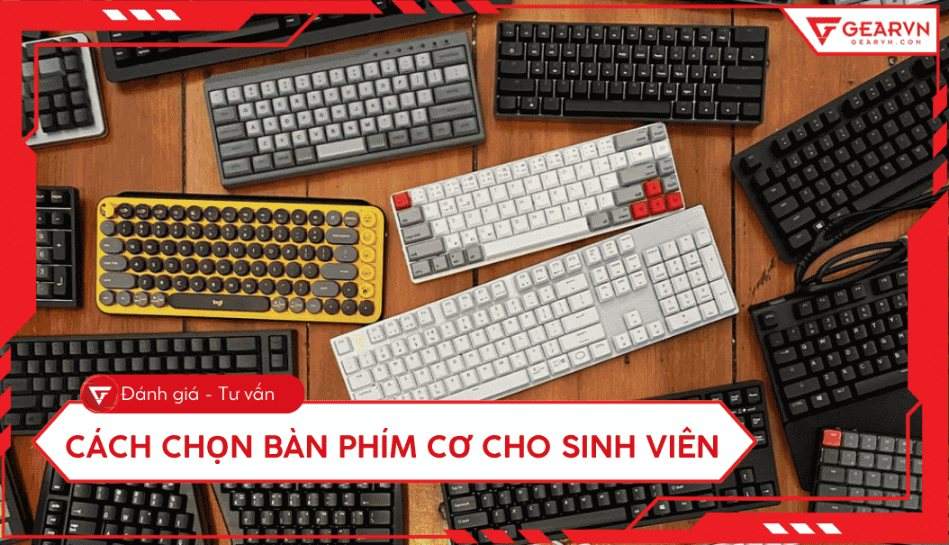 Cách chọn bàn phím cơ cho sinh viên và top sản phẩm tốt 2026