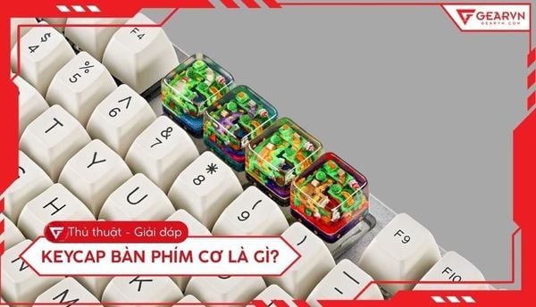Keycap bàn phím cơ là gì? Hướng dẫn chọn keycap cho người mới