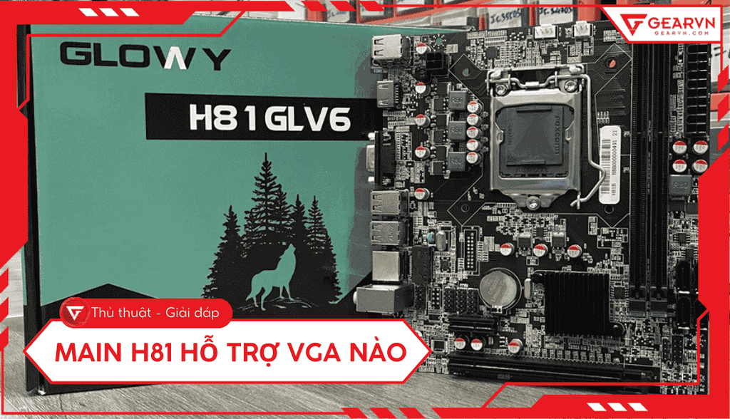 Main H81 hỗ trợ VGA nào? Chọn card đồ họa tối ưu, nâng cấp PC