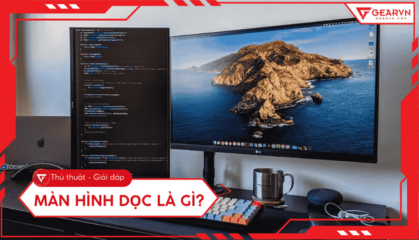 Màn hình dọc là gì? Lợi ích và cách thiết lập tăng hiệu suất