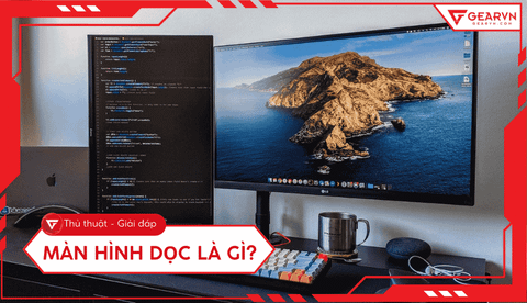 Màn hình dọc là gì? Lợi ích và cách thiết lập tăng hiệu suất