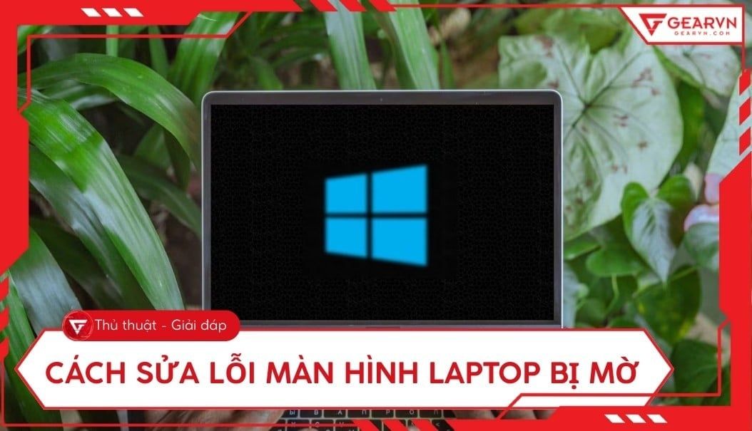 Sửa lỗi màn hình laptop bị mờ, nhòe chữ khi chơi game, đồ họa