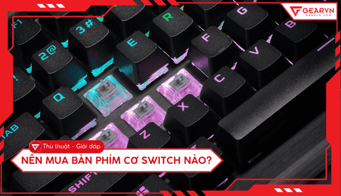 Nên mua bàn phím cơ switch nào? Hướng dẫn chọn switch chuẩn nhất