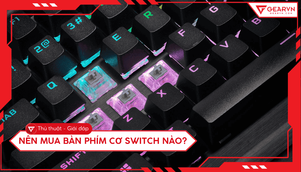 Nên mua bàn phím cơ switch nào? Hướng dẫn chọn switch chuẩn nhất