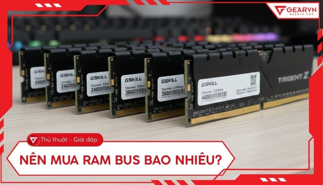 Nên mua RAM bus bao nhiêu? Cách chọn bus RAM phù hợp từng nhu cầu ...