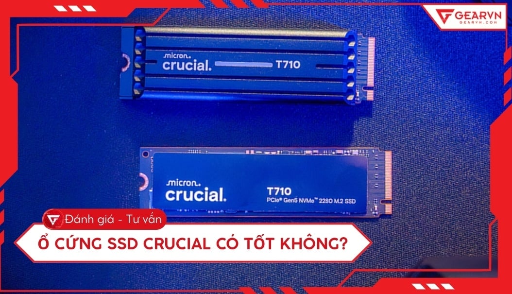 Ổ cứng SSD Crucial có tốt không? Đánh giá chi tiết hiệu năng