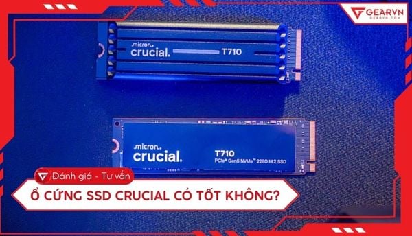 Ổ cứng SSD Crucial có tốt không? Đánh giá chi tiết hiệu năng