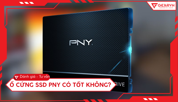 Ổ cứng SSD PNY có tốt không? Đánh giá chi tiết hiệu năng từ A - Z