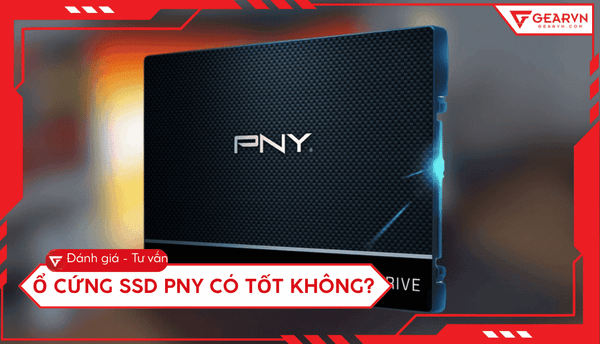 Ổ cứng SSD PNY có tốt không? Đánh giá chi tiết hiệu năng từ A - Z