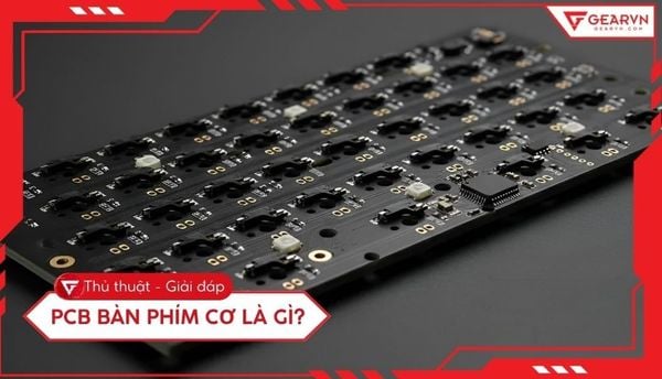 PCB bàn phím cơ là gì? Vai trò và cách phân biệt chi tiết