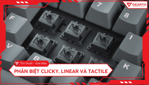 Phân biệt Clicky, Linear và Tactile switch chi tiết, dễ hiểu