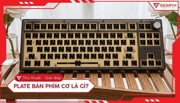 Plate bàn phím cơ là gì? Giải mã chi tiết vai trò và phân loại