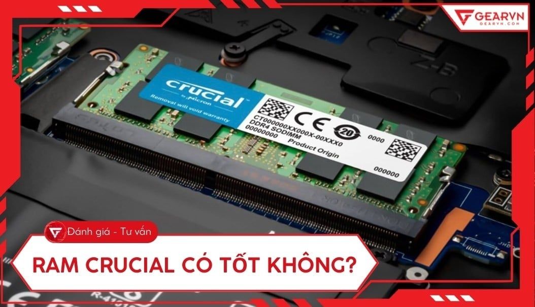RAM Crucial có tốt không? Đánh giá chi tiết độ bền và hiệu năng