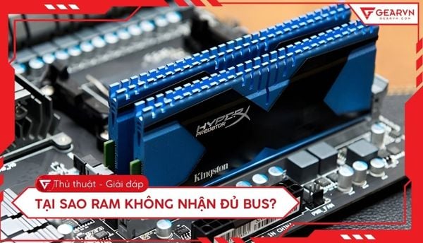 Tại sao RAM không nhận đủ bus? Cách khắc phục đơn giản