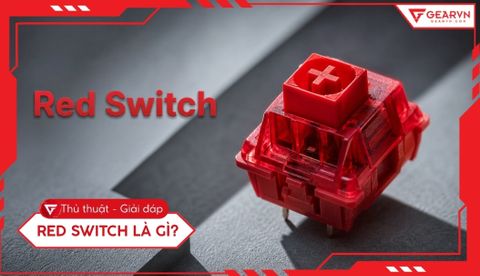 Red switch là gì? Đặc điểm và cảm giác gõ thực tế cho người mới