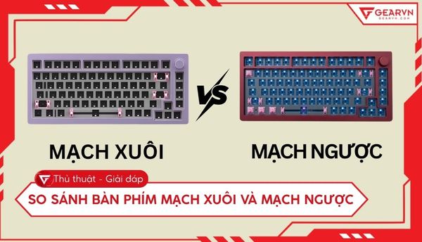 So sánh bàn phím mạch xuôi và mạch ngược: Nên chọn loại nào?
