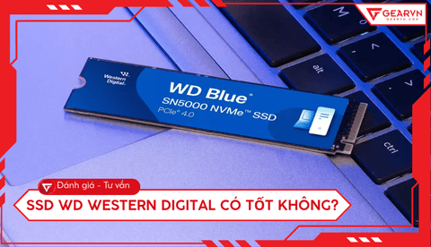 SSD WD Western Digital có tốt không? Đánh giá chi tiết hiệu năng