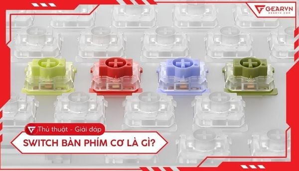 Switch bàn phím cơ là gì? Cách chọn loại switch phù hợp