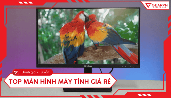 Top 11 màn hình máy tính giá rẻ chất lượng tốt đáng mua 2025