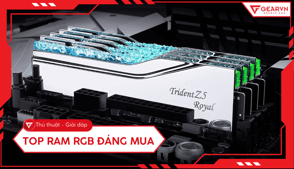Top 15 RAM RGB đáng mua nhất dành cho game thủ hiện nay