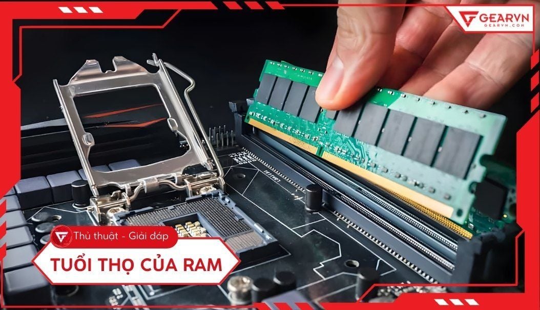 Tuổi thọ của RAM máy tính bao lâu? Yếu tố ảnh hưởng độ bền RAM