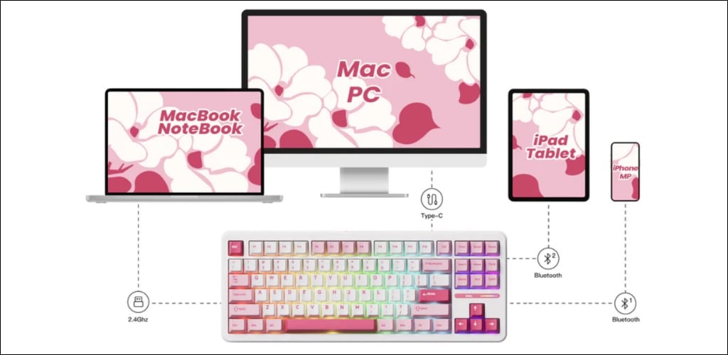 Bàn phím AKKO này hỗ trợ đến 3 chế độ kết nối