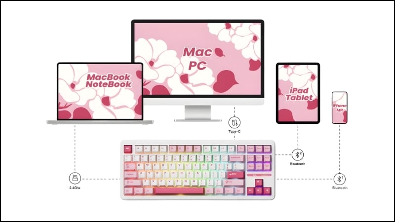 Bàn phím AKKO TAC87 3 MODE Prunus Lannesiana có kết nối linh hoạt