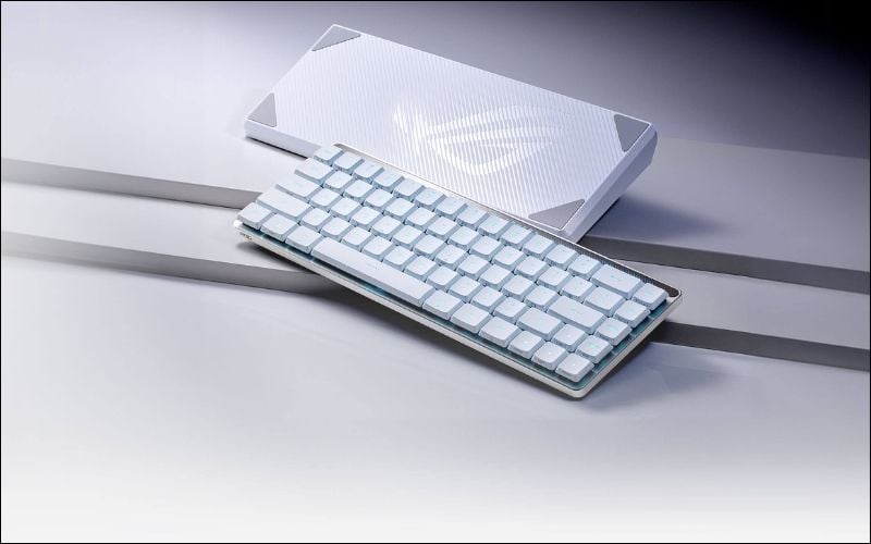 Switch cơ học mang lại độ bền cao, cảm giác gõ rõ ràng và khả năng tùy biến tốt