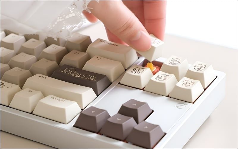 Tự chọn kit, layout, switch, keycap và phụ kiện mod là các bước build custom hoàn chỉnh
