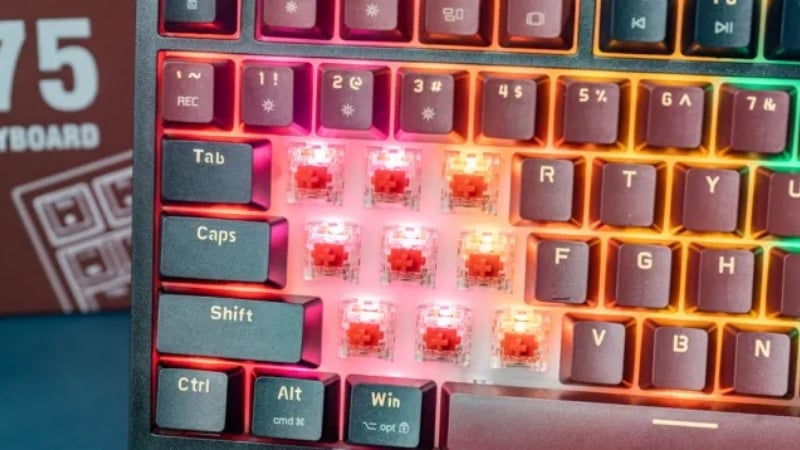 Bàn phím cơ E-Dra không dây EK375 Pro Alpha Red Switch có keycap PBT Doubleshot siêu bền