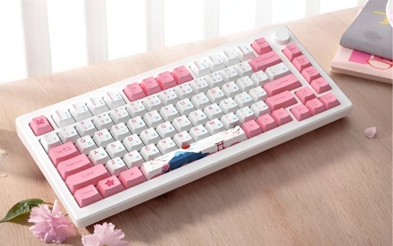 Bàn phím DareU có nhiều layout như Fullsize đầy đủ, TKL gọn gàng cân bằng và 60%/65% siêu nhỏ gọn, tiện di chuyển