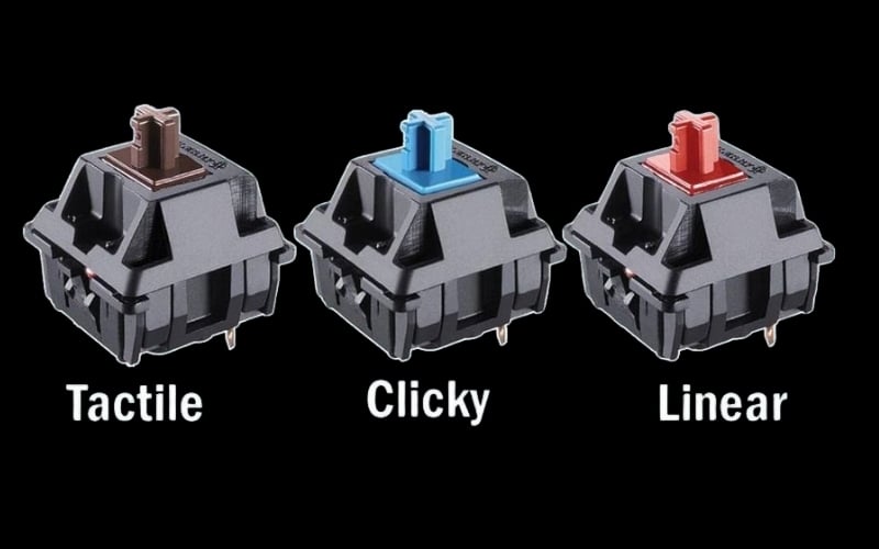 Nên chọn switch nào sẽ tùy vào nhu cầu, sở thích mỗi người