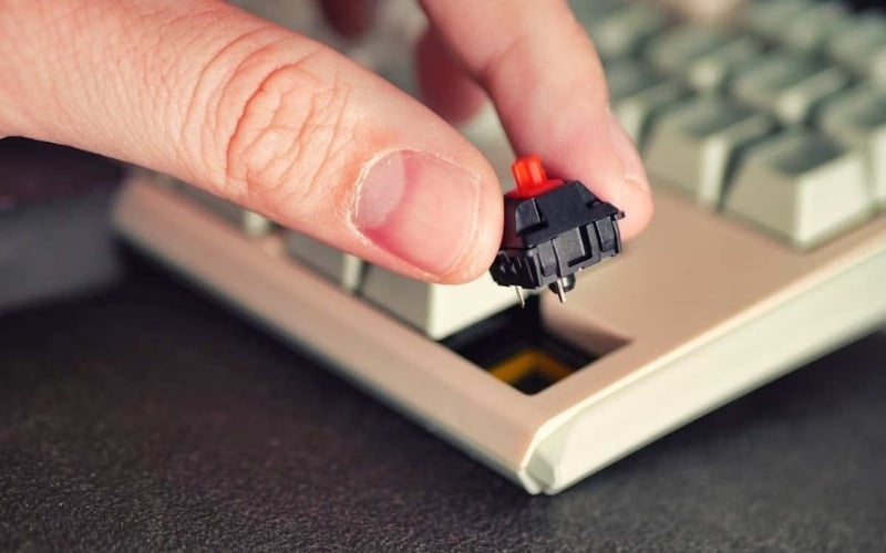 Nếu thấy switch cắm quá cứng hoặc lệch chiều, nên dừng lại để kiểm tra