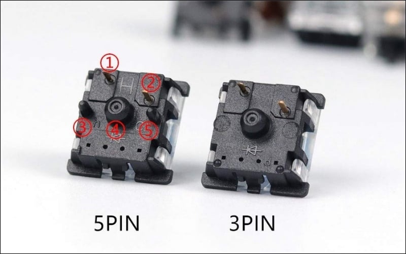 3-pin và 5-pin là hai chuẩn chân switch phổ biến