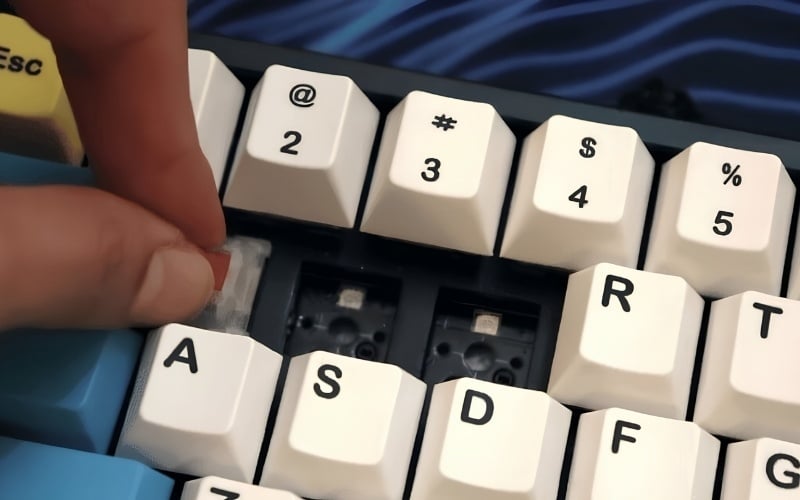 Cắm switch đúng chiều, đặt đều lực và ấn xuống dứt khoát